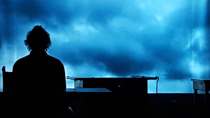 Photo Reine de Beauté